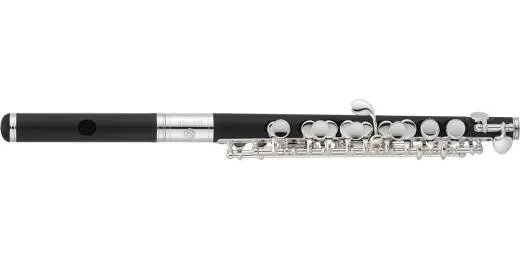 Jupiter - JPC1010 Piccolo w/Case