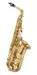 Jupiter - JAS1100Q Eb Alto Saxophone, F#, Gold Lacquer w\/Case