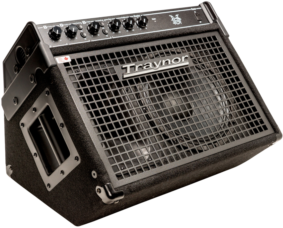 Traynor 10''/200 Watt Combo Drum Amp Long & McQuade