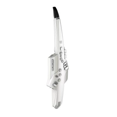 Roland - Aerophone AE-10 Digital Wind Instrument - White