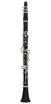 Carlton - Bb Student Clarinet, ABS with Case