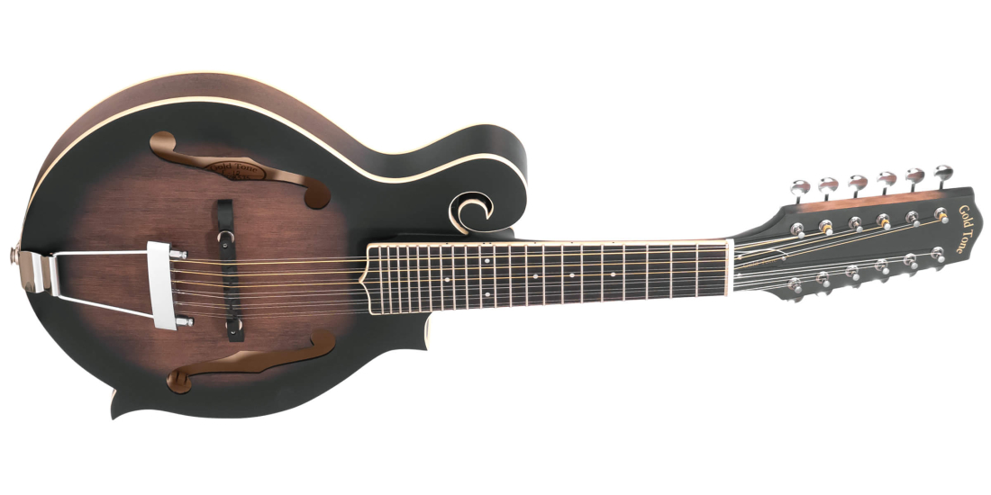 12-String F-Style Mandolin/Guitar w/Case