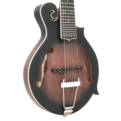 12-String F-Style Mandolin/Guitar w/Case