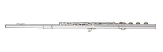 Flute with Sterling Silver Headjoint, B Foot, Offset G, and Split E