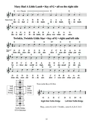 Hammered Dulcimer for the Young Beginner - MacNeil - Book/Audio Online