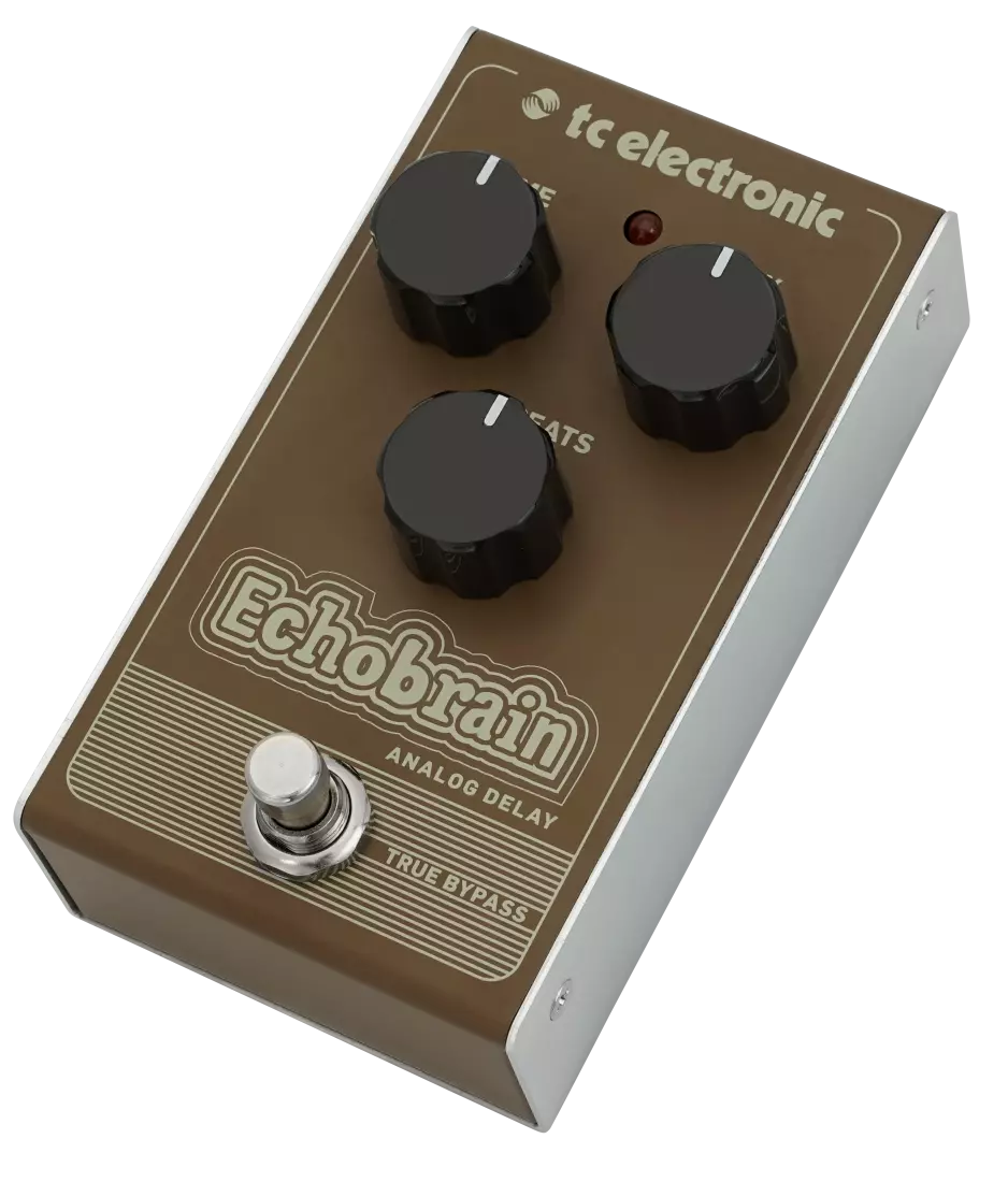 EchoBrain Analog Delay