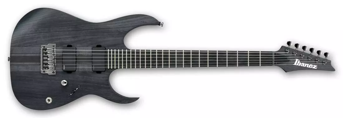 RG Iron Label 6-String HH Electric Guitar - Transparent Gray Flat