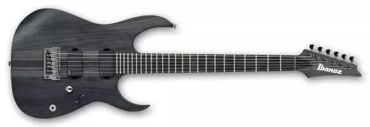 RG Iron Label 6-String HH Electric Guitar - Transparent Gray Flat