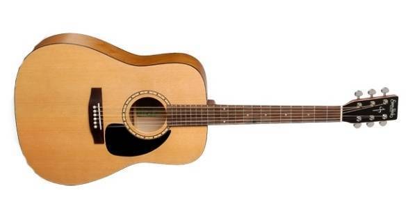 Woodland Cedar Acoustic Guitar w/ Gig Bag