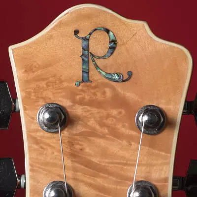 Mk9 Mockingbird Electric Guitar - Maple Burl