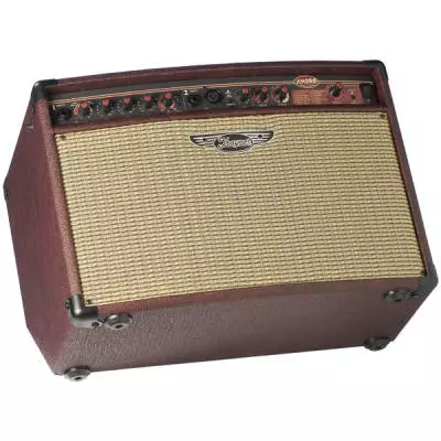 AM100T 100 Watt Acoustic Guitar Amp