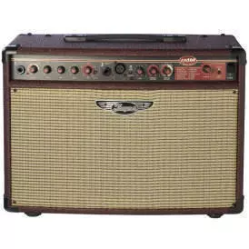 AM100T 100 Watt Acoustic Guitar Amp