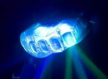 Jellyfish
