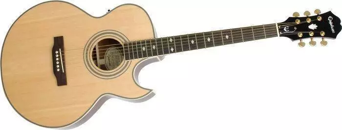 Performer PR-5E Acoustic/Electric Guitar - Natural