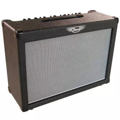DynaGain 60 - Guitar Amp with Digital Reverb