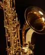 Phil Dwyer Edition Low A Baritone Saxophone