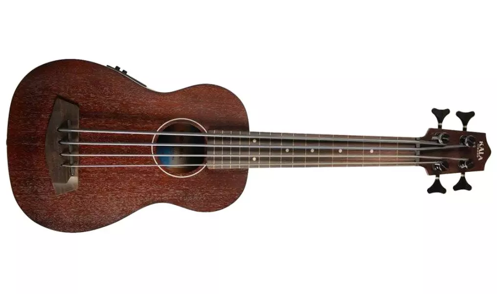 Rumbler Fretless Acoustic-Electric U-BASS with Bag