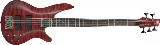SRA505 Archtop 5-String - Blackberry