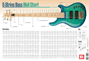 5-String Bass Wall Chart - Dozier - Poster