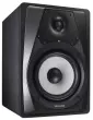 VL-S5  5.25\'\' Powered Studio Monitor