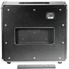 DarkHorse Series  1x12 Guitar Extension Cabinet -25 Watts