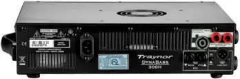DynaBass 350 Watt Compact Bass Head