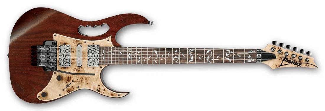 Steve Vai JEM Electric Guitar - Charcoal Brown Low Gloss