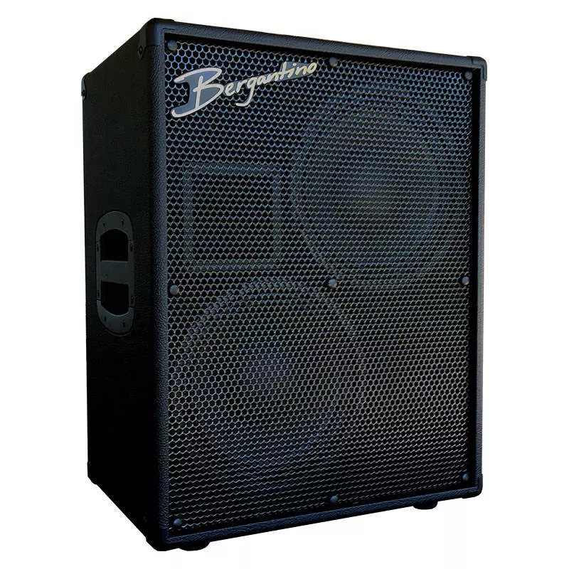 Reference 210 2x10 8 Ohm Bass Cabinet