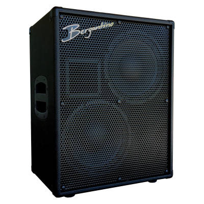 Reference 210  2x10 8 Ohm Bass Cabinet