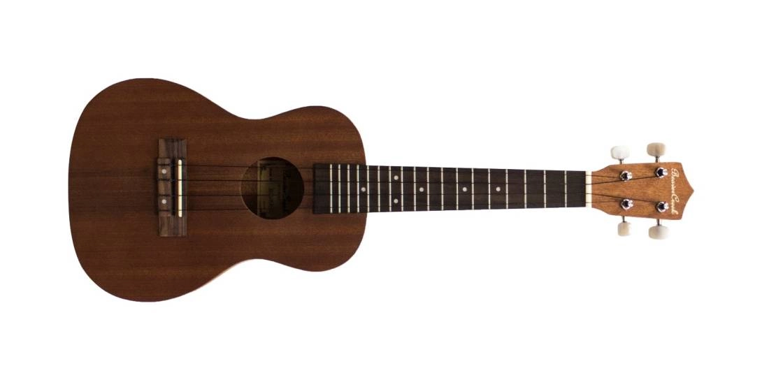 Mahogany Concert Ukulele w/Electronics & Gigbag