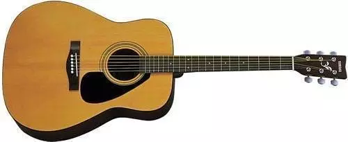 F310 Acoustic Dreadnought Guitar