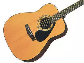 F310 Acoustic Dreadnought Guitar