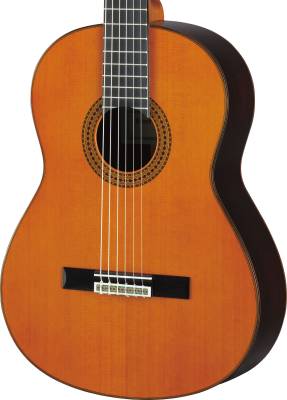 Classical Guitar with Solid Cedar Top/Rosewood Back and Sides, Gigbag