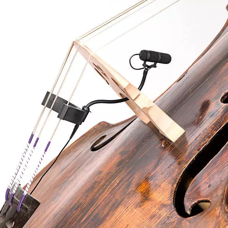 d:vote Instrument Microphone for Bass