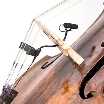 d:vote  Instrument Microphone for Bass