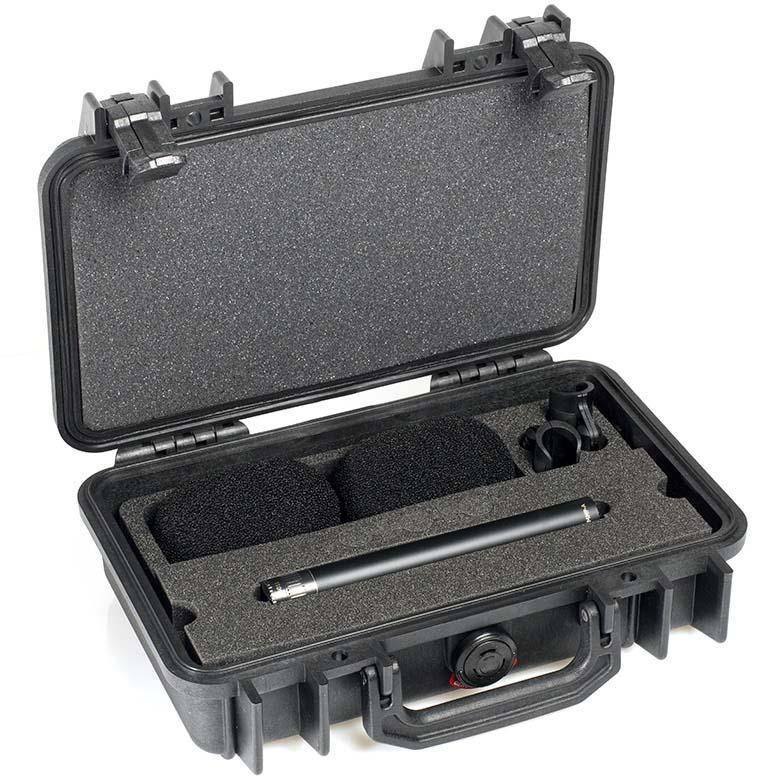 Stereo pair with two 4011A Microphones, Clips and Windscreens in PELI Case