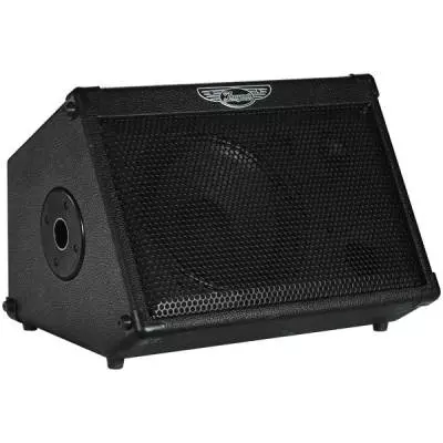 Travel Mate 2-Channel - 50 Watt Battery Powered Wedge Amp