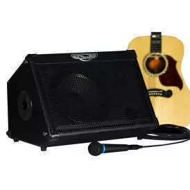 Travel Mate 2-Channel - 50 Watt Battery Powered Wedge Amp