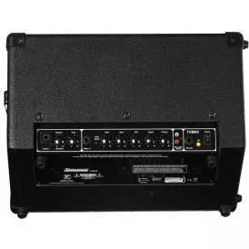 Travel Mate 2-Channel - 50 Watt Battery Powered Wedge Amp