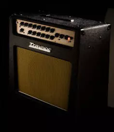 Custom Special 50 Watt 1x12 Guitar All-Tube Combo Amp