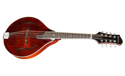 Eastman Guitars - A-Style Mandolin Spruce/Flame-Maple with Hardshell Case - Classic