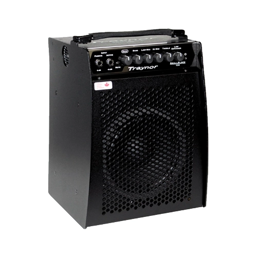 100 Watt Micro Combo/Bass Head