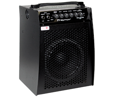 Traynor - 100 Watt Micro Combo/Bass Head
