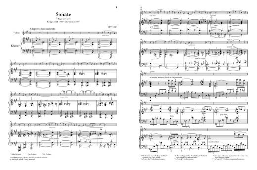 Sonata A major - Franck/Jost - Violin/Piano