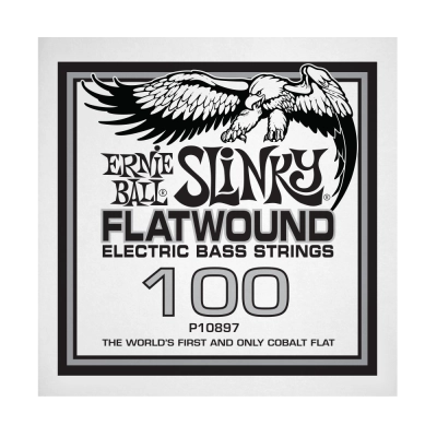 Ernie Ball - .100 Slinky Flatwound Electric Bass String Single