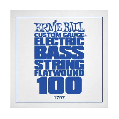 Ernie Ball - .100 Flatwound Electric Bass String Single