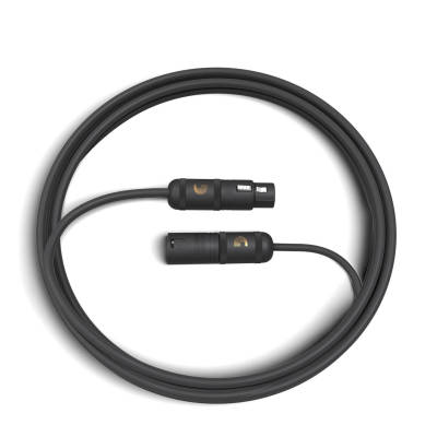 American Stage XLR Microphone Cable - 10 feet