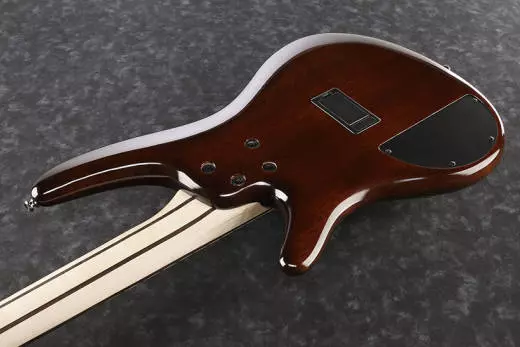 SR405EQM 5-String Bass Guitar - Dragon Eye Burst