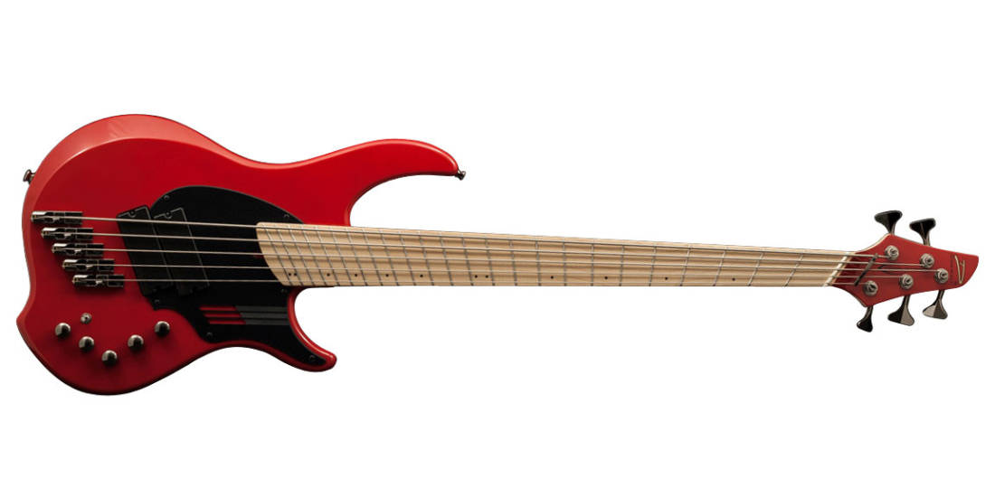 ベース DINGWALL NG-2 5st Dingwall】ディングウォール『5弦ベース』NG-2 5st Adam ”Nolly