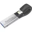 Sandisk - 64GB iXpand Flash Drive for iPhone and iPad